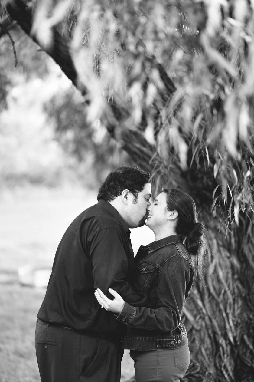 Sarah &amp; Anthony Engagement (51)